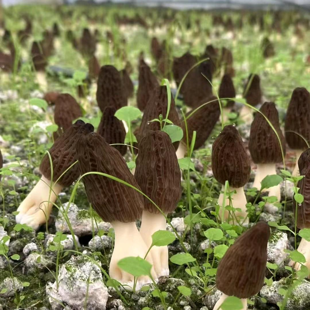 哥哥妹妹起床了