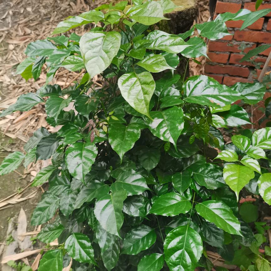 退一步海阔天空！