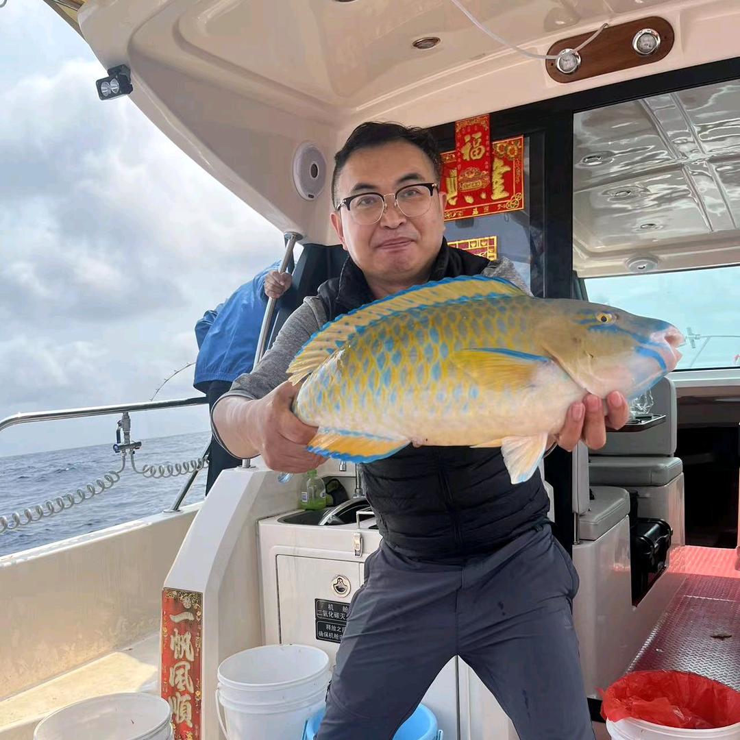 流浪带你去流浪