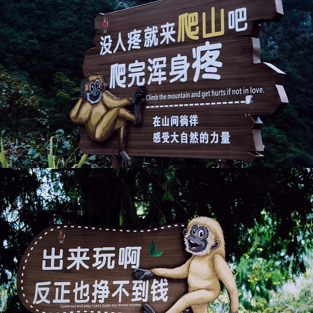 笨笨爱游玩
