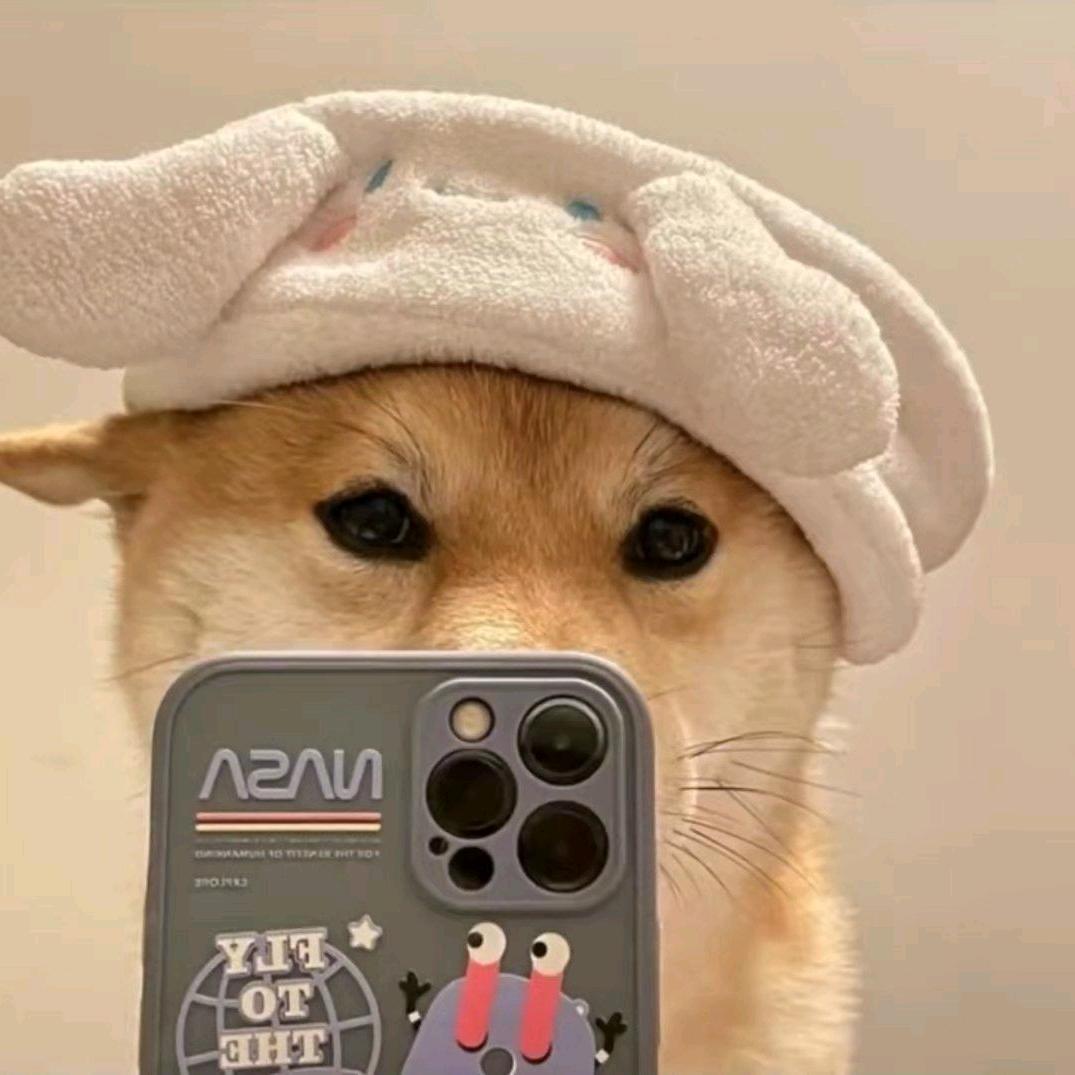 琳琳梓
