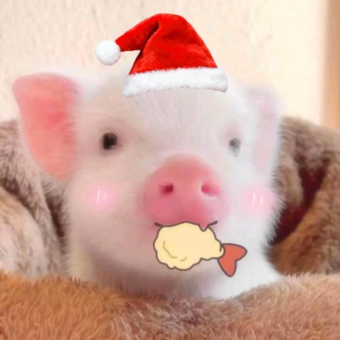 世界对我太可恶