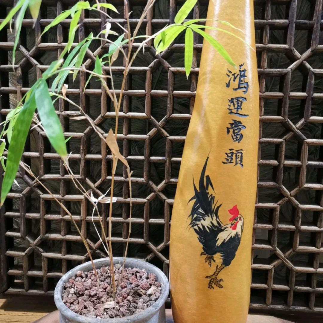 豆豆福福头像