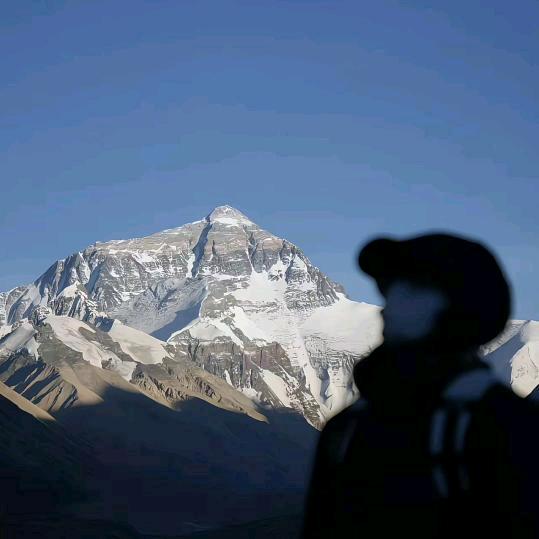 无糖可乐也加冰