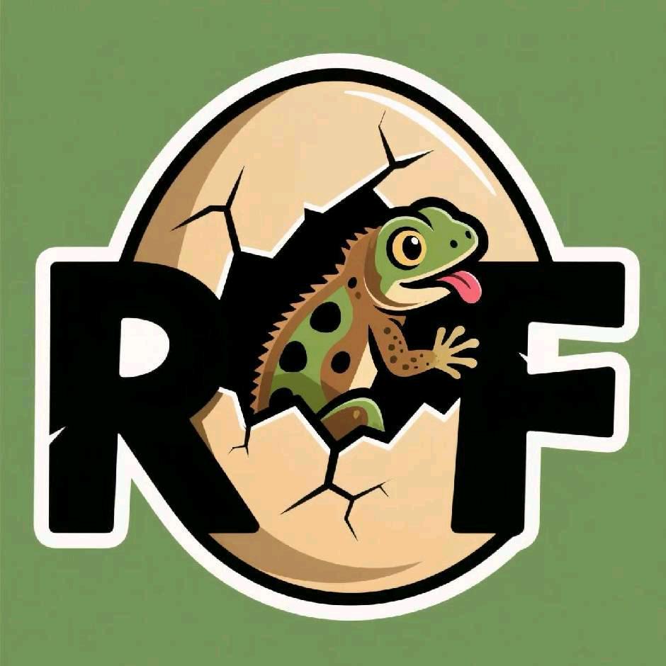 RF爬宠超市—鬃狮蜥版