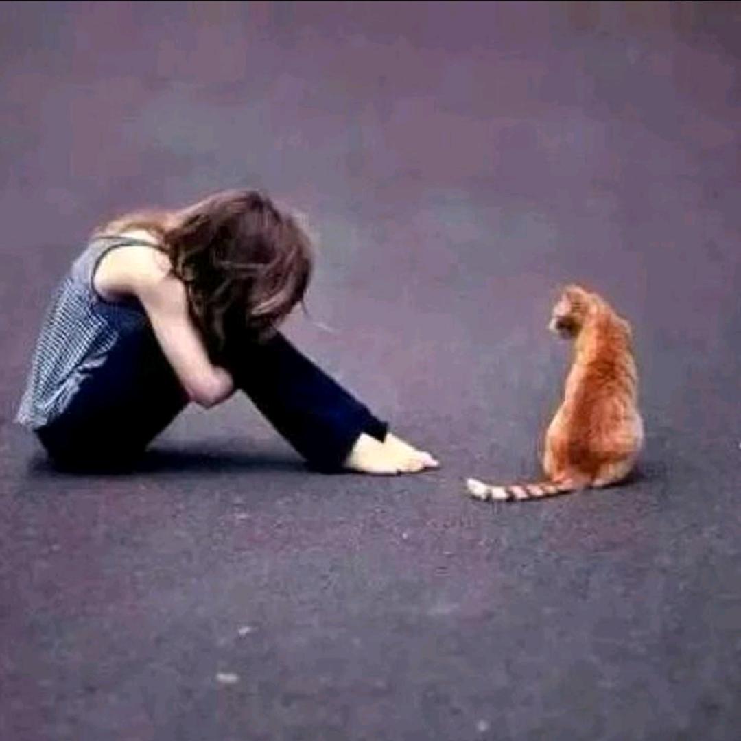 ℳ̶̶♡̶҉好🥀᭄ 运ℳ