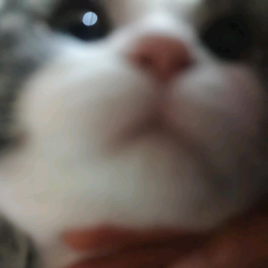 凿凿凿凿凿
