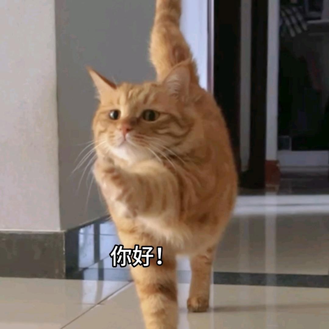 WAN.