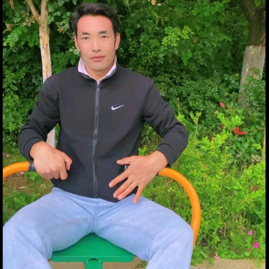 茶马伍金日珍