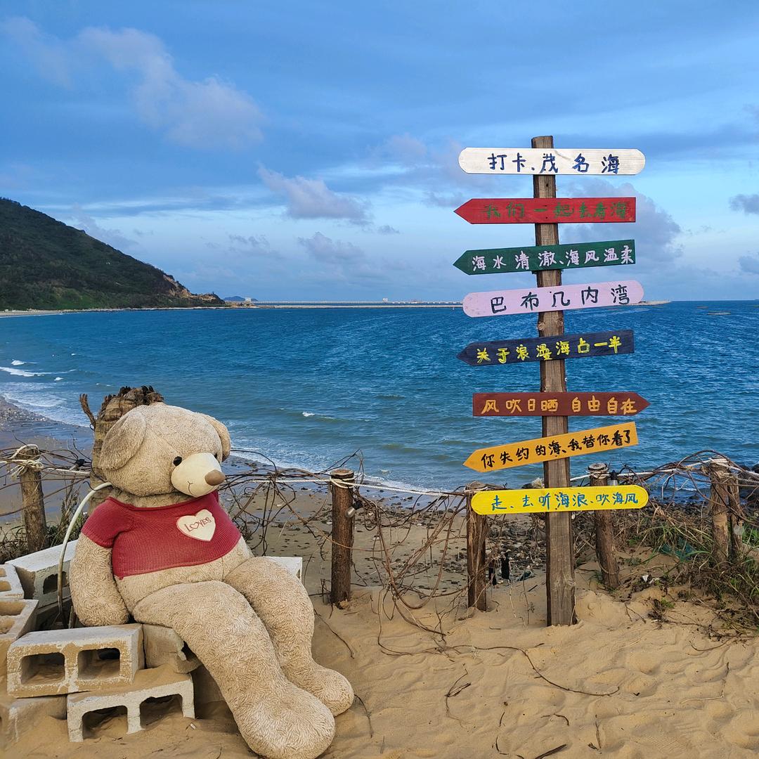 爱吃榴莲的披萨