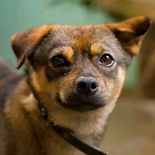 虎林❄️🐯🐯🐯🐯🐯