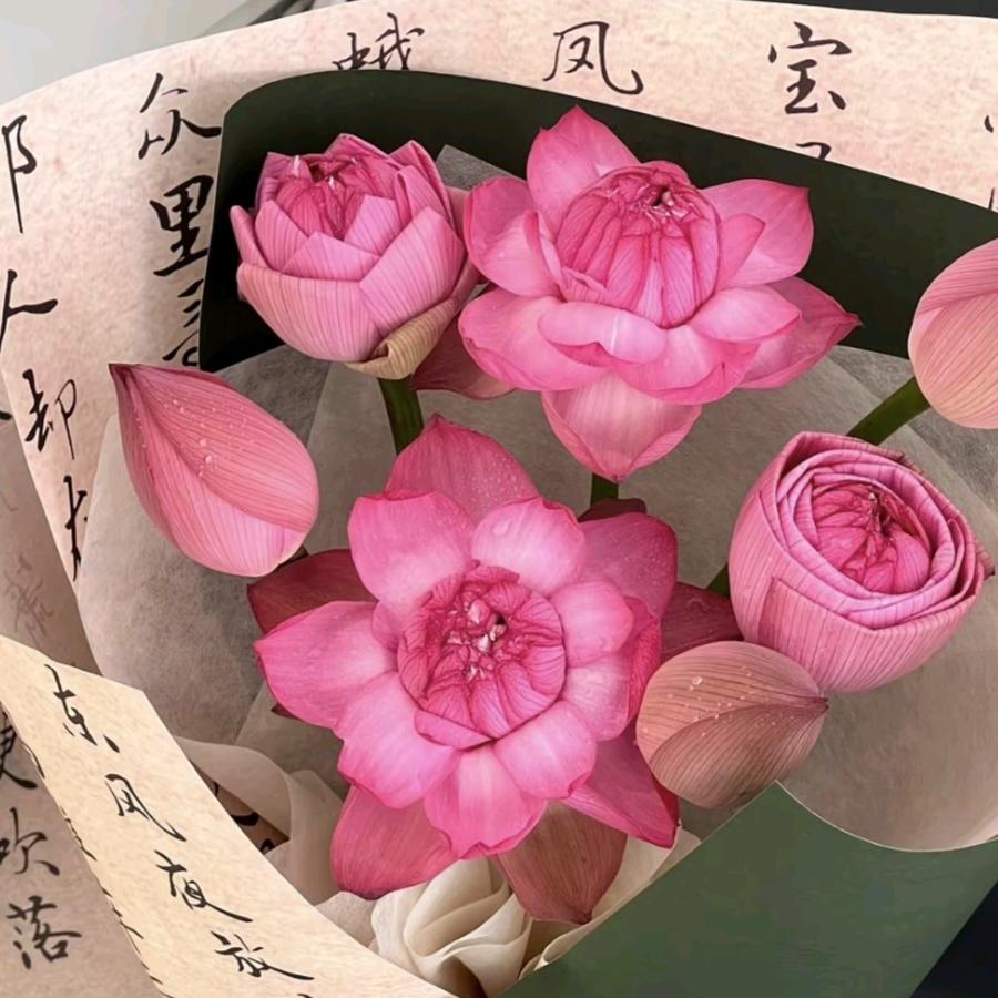 吴路秀