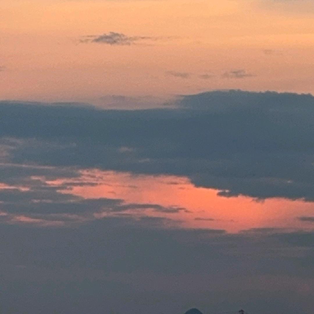 白露日常生活号