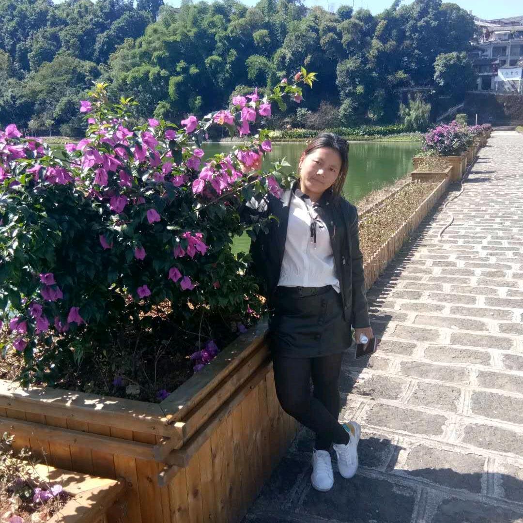 从新的一天开始