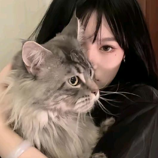 零碎碎