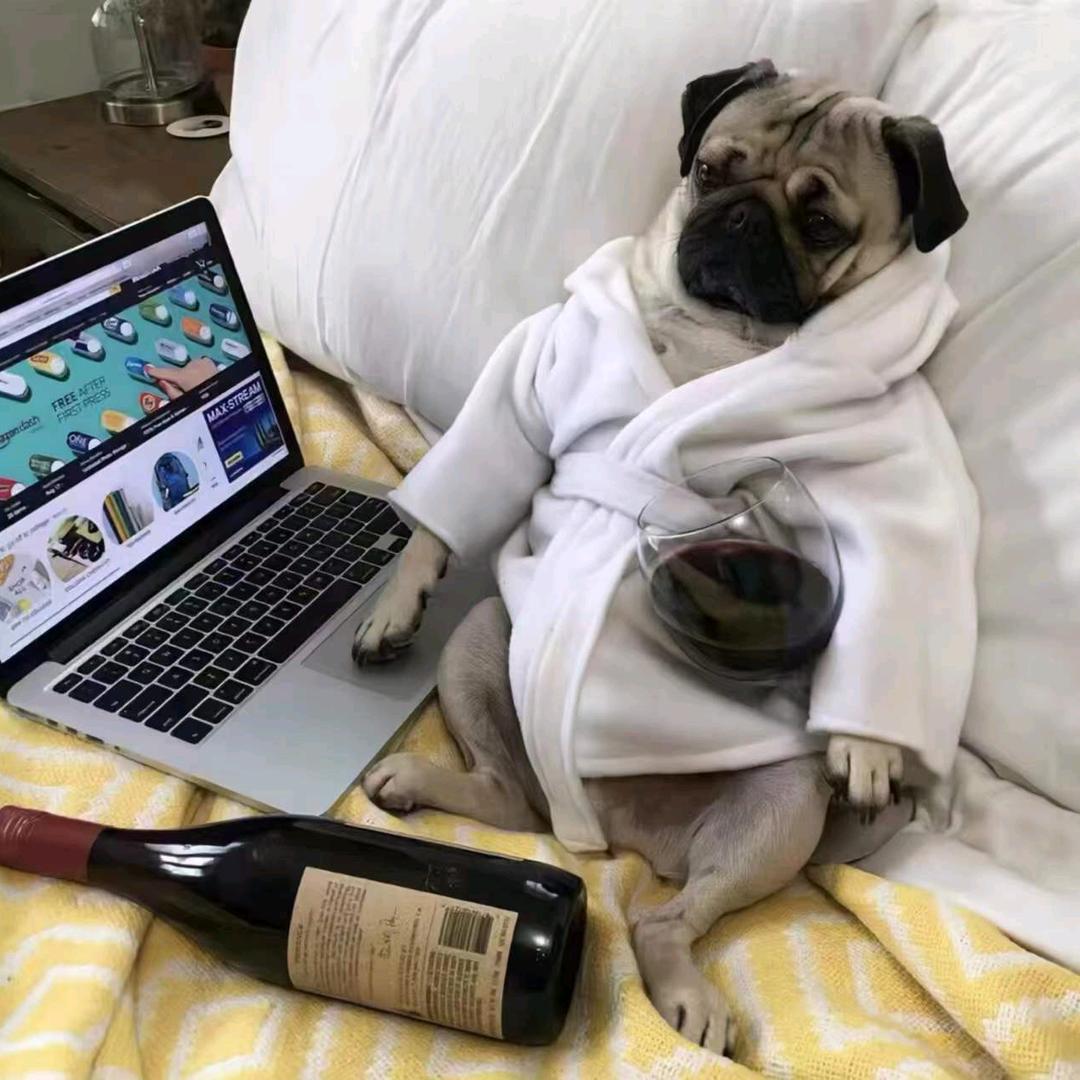 陈皮糖࿚໌້ᮨ