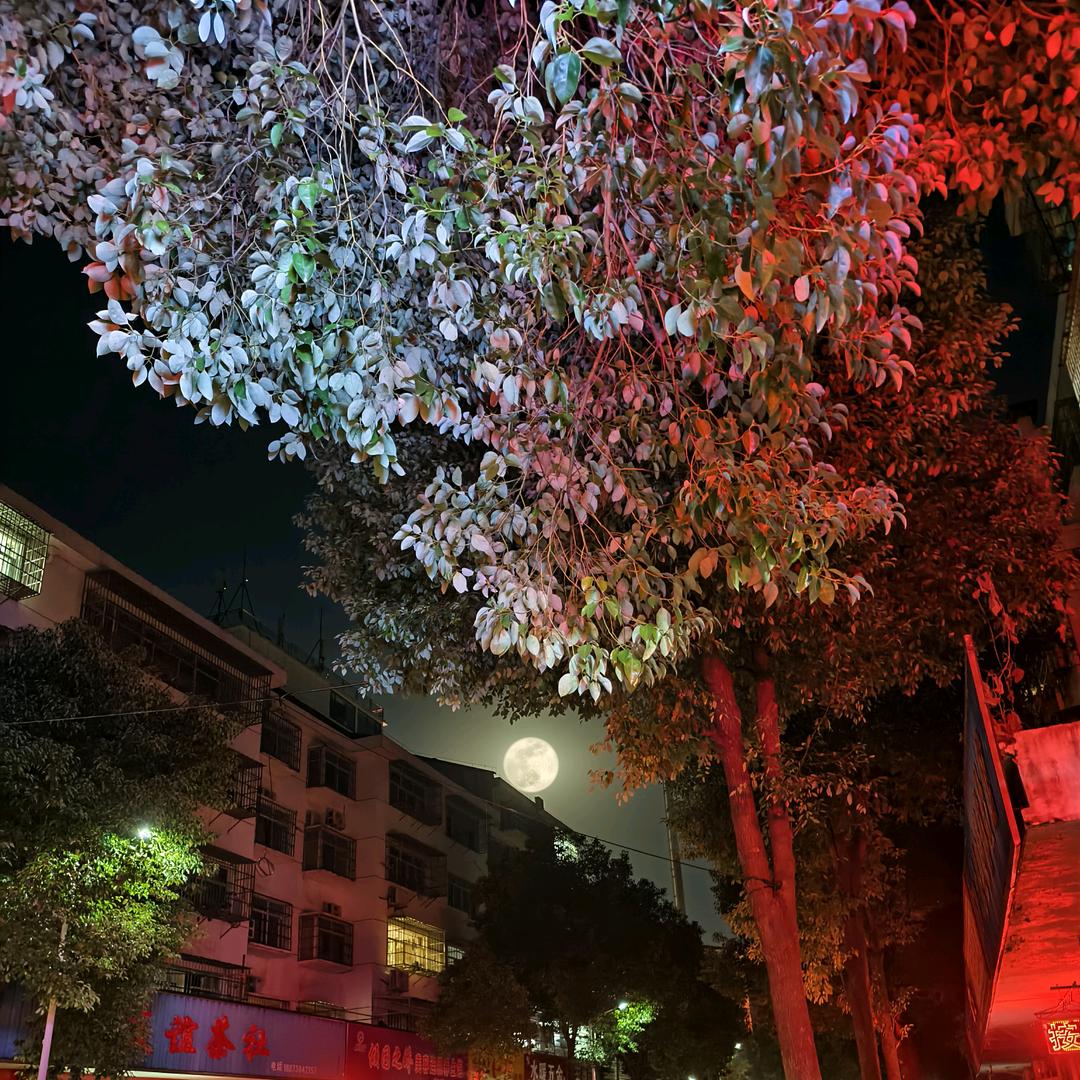 退出了