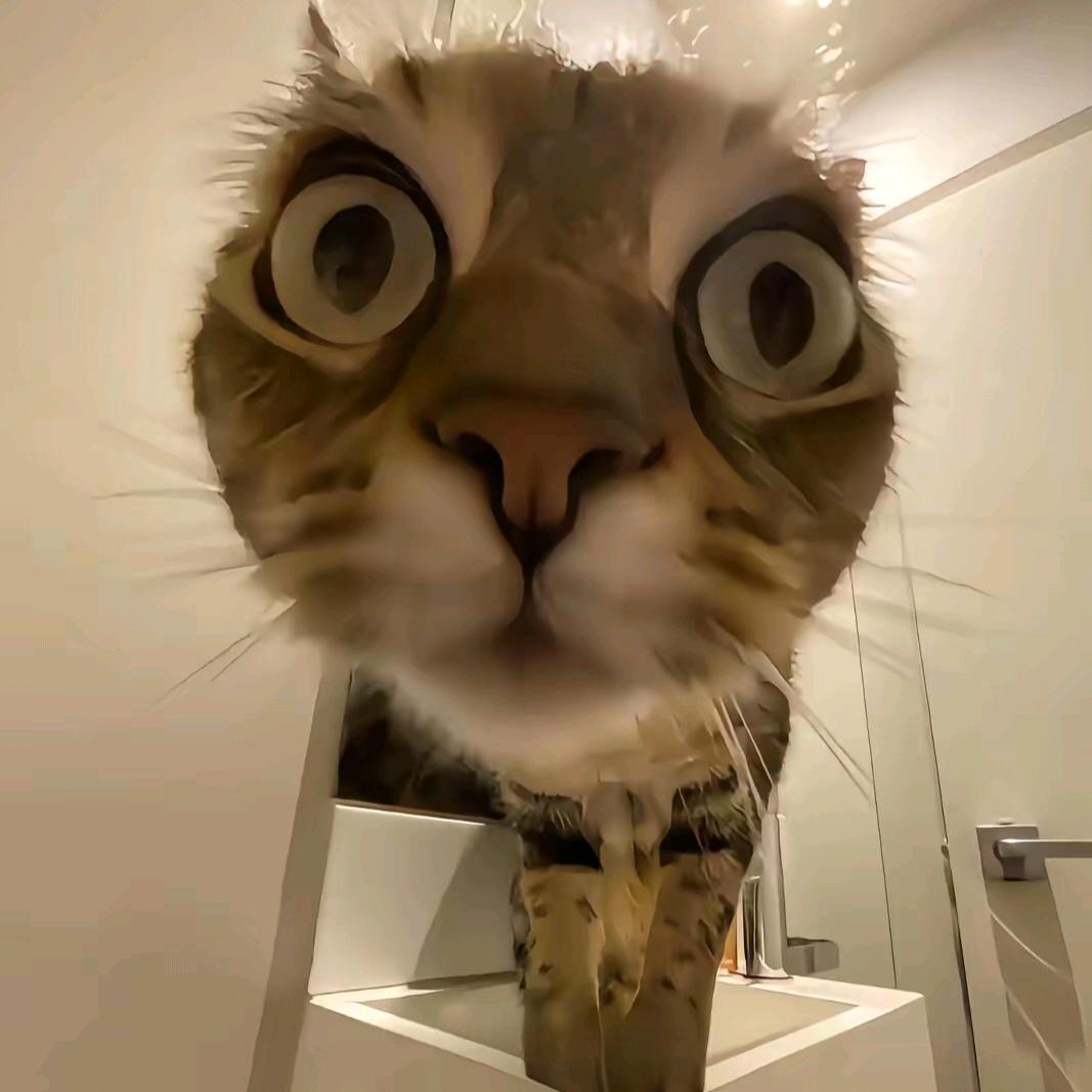 二牛