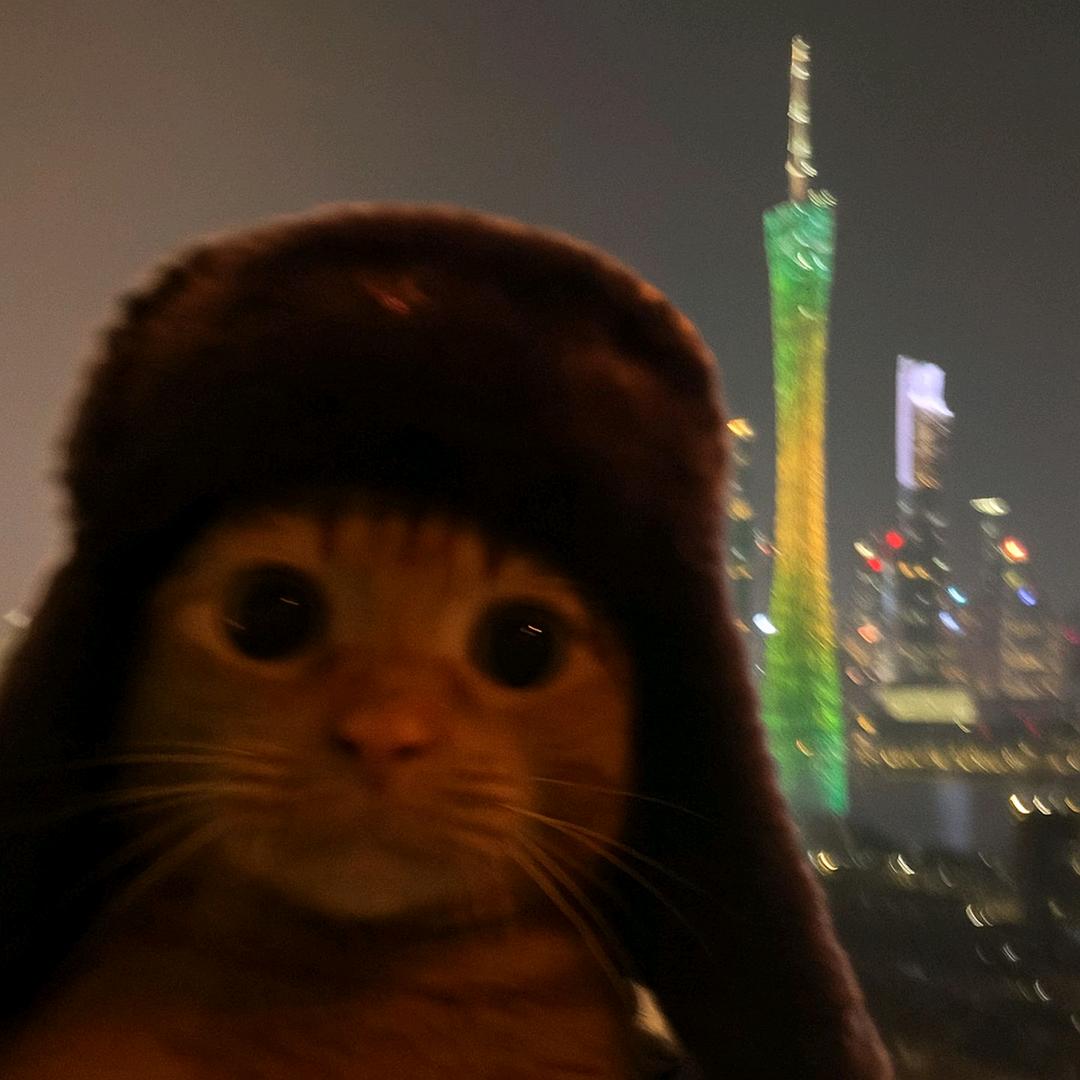 小说完结前.