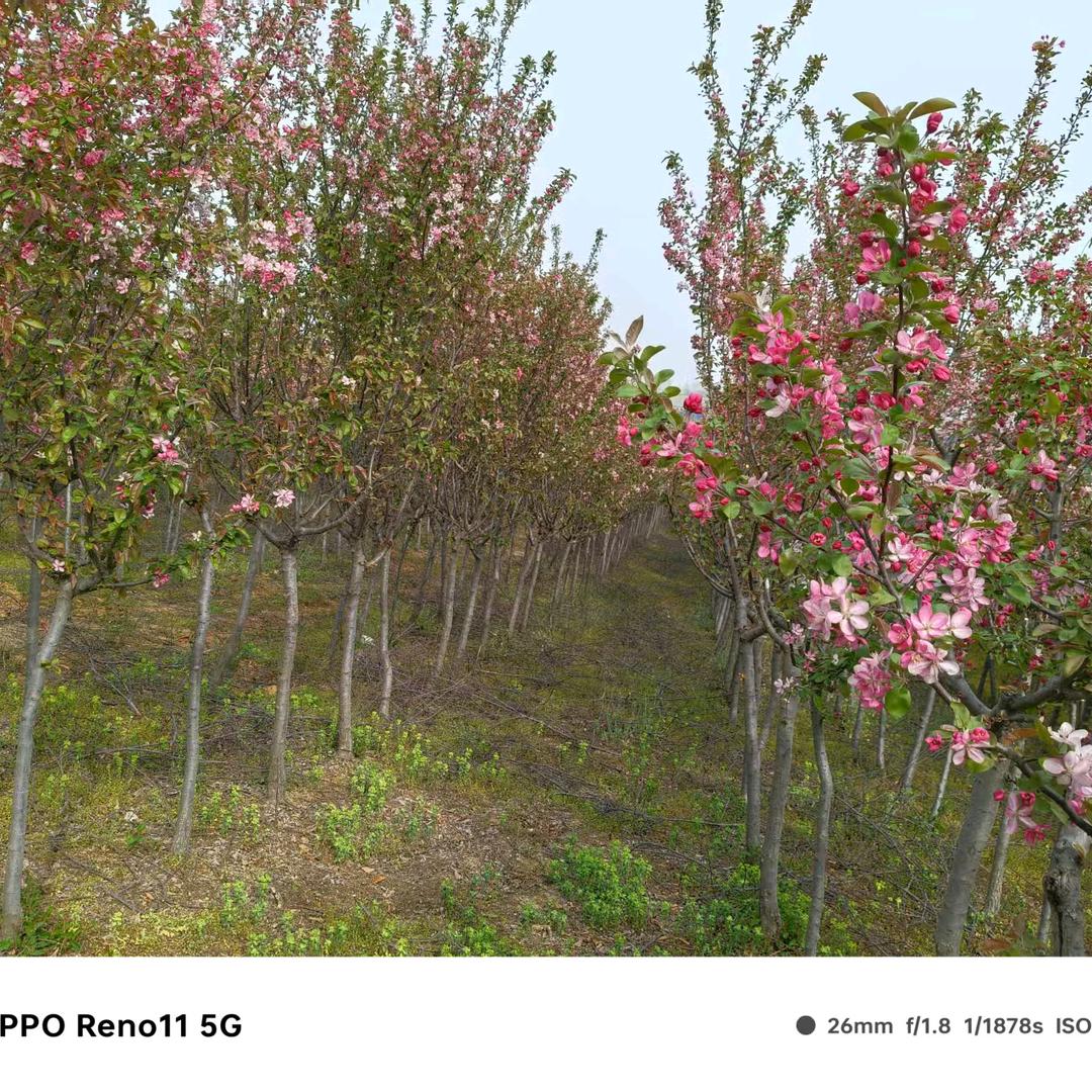 忘掉过去拒绝私聊    每晚