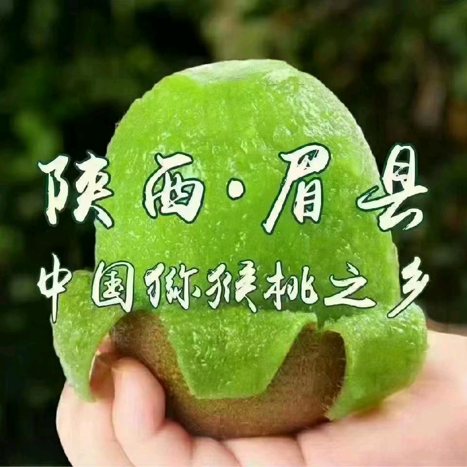 陕西眉县猕猴桃