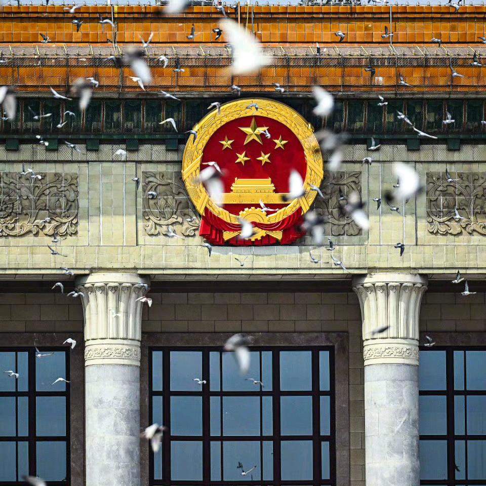 老杨金融优化