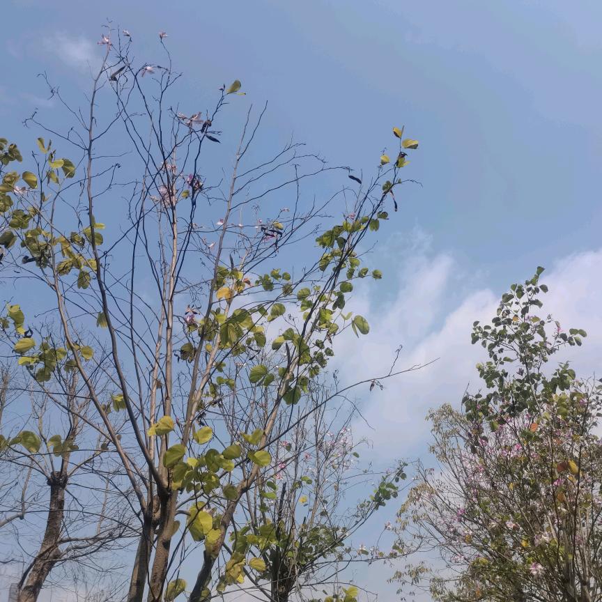 珍惜当下