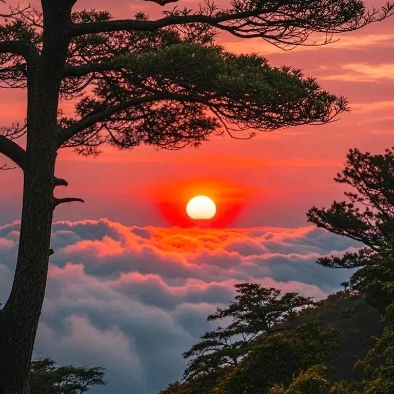 A岁月留痕-数据修复