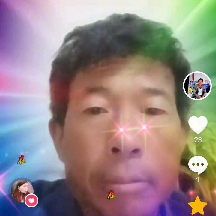 施树存