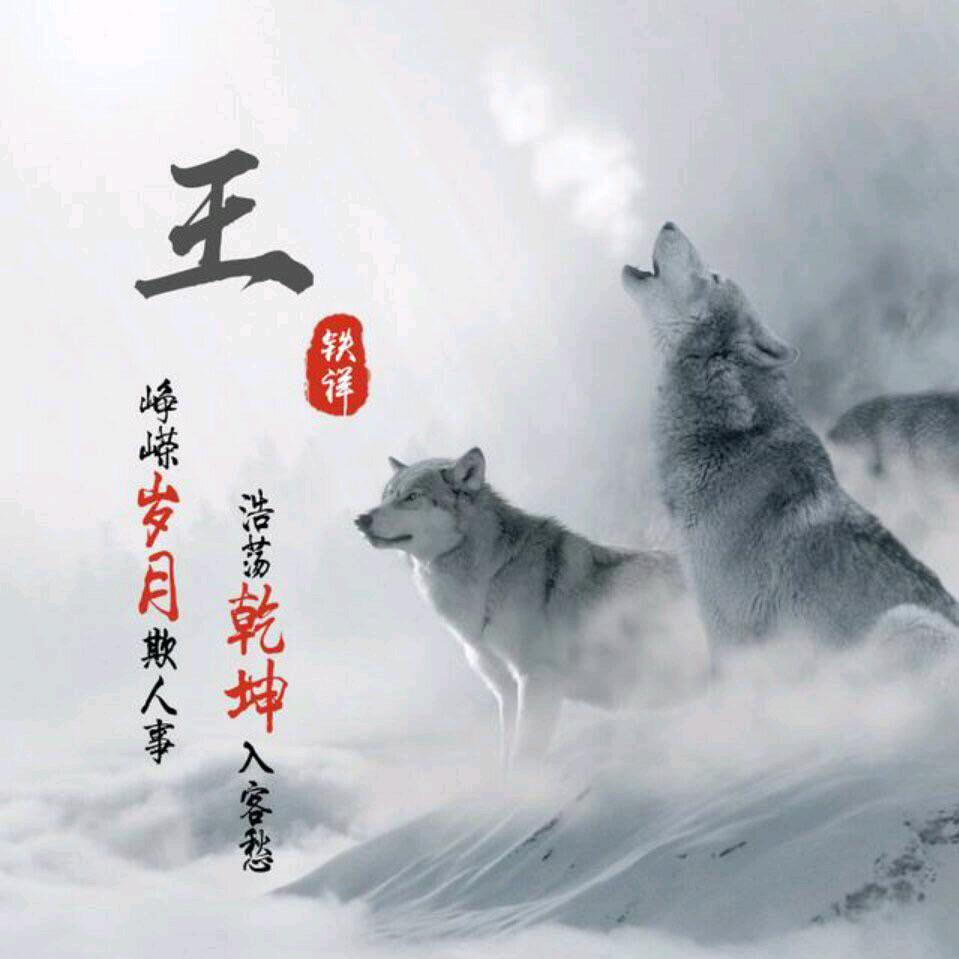 青蓝冰水。《王哥爱音乐》