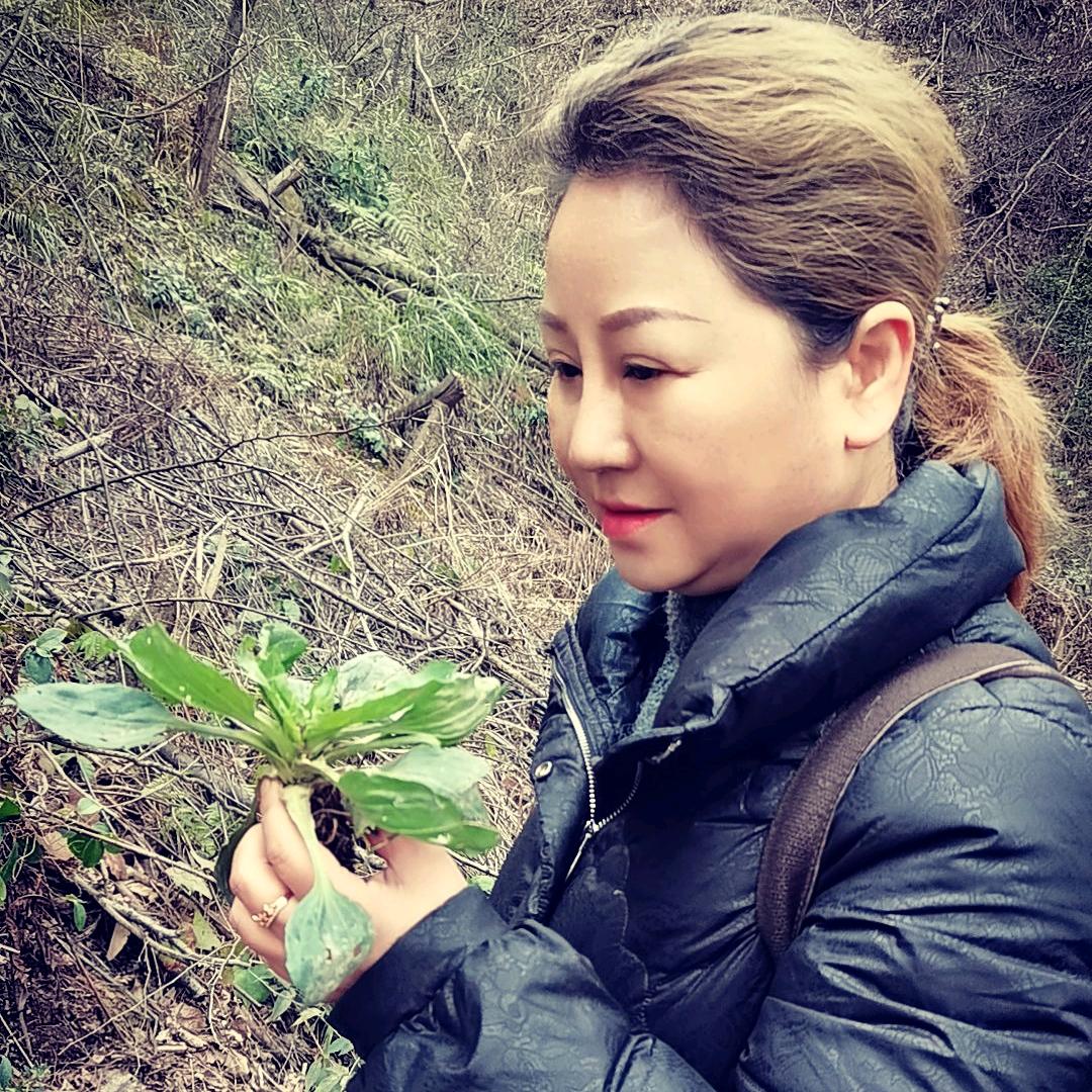 明利百草说