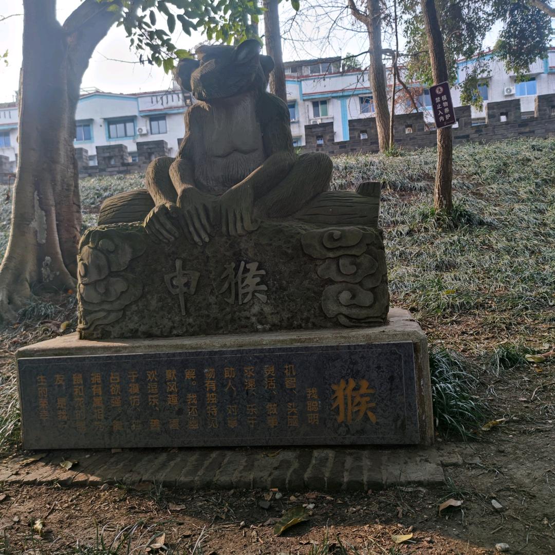 似此星陈非昨夜