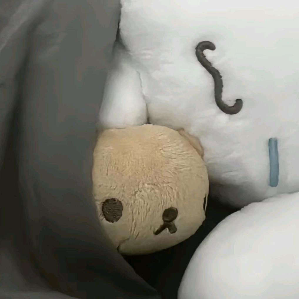 白泽