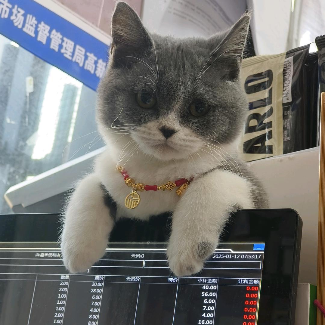 雪莲