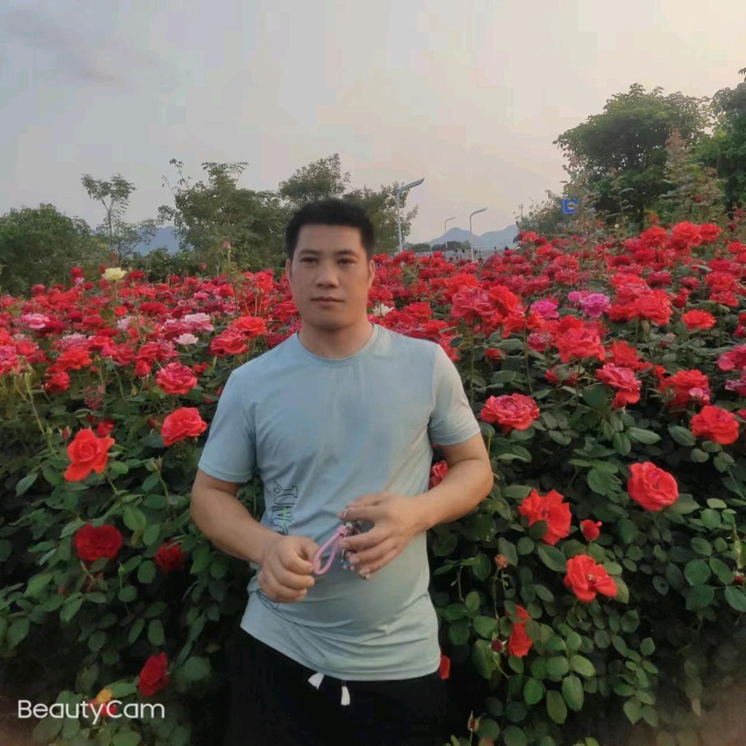 一个人挺好的