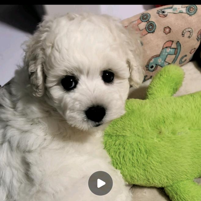 余生ᝰᩚ随心ꦿ໌ᮨ💕