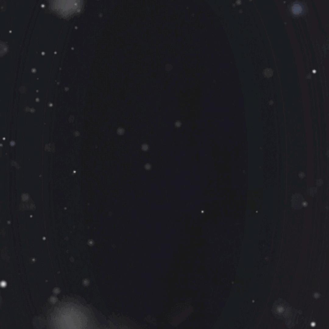 …………………………