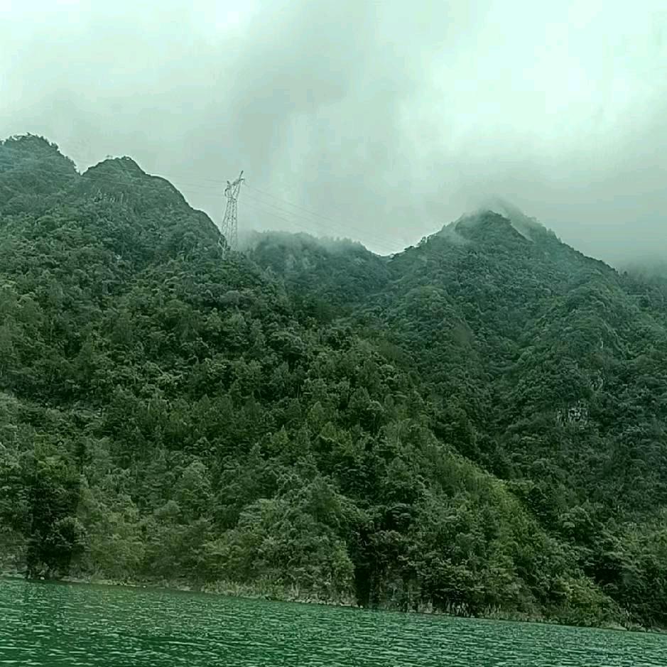 思念化成金HB🐎🐇