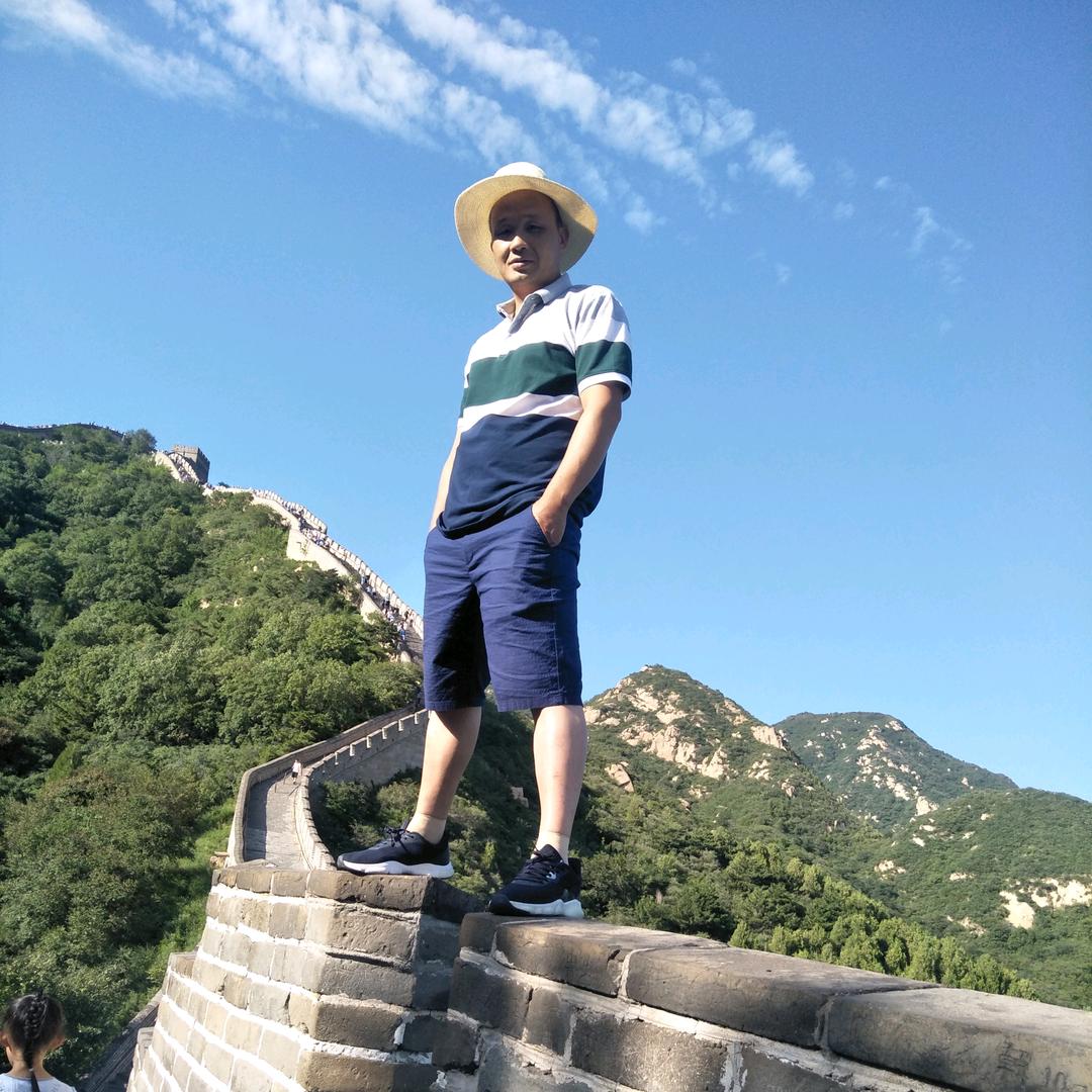 王书琦，野生茶，中药材