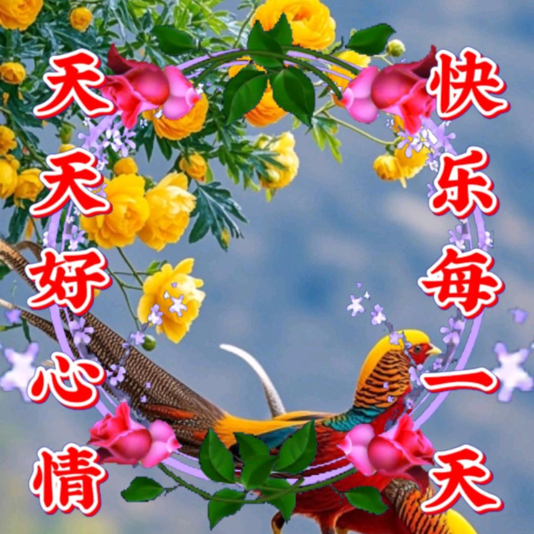 努力攒钱