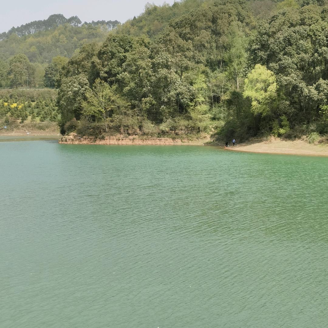 众人清醒我独醉