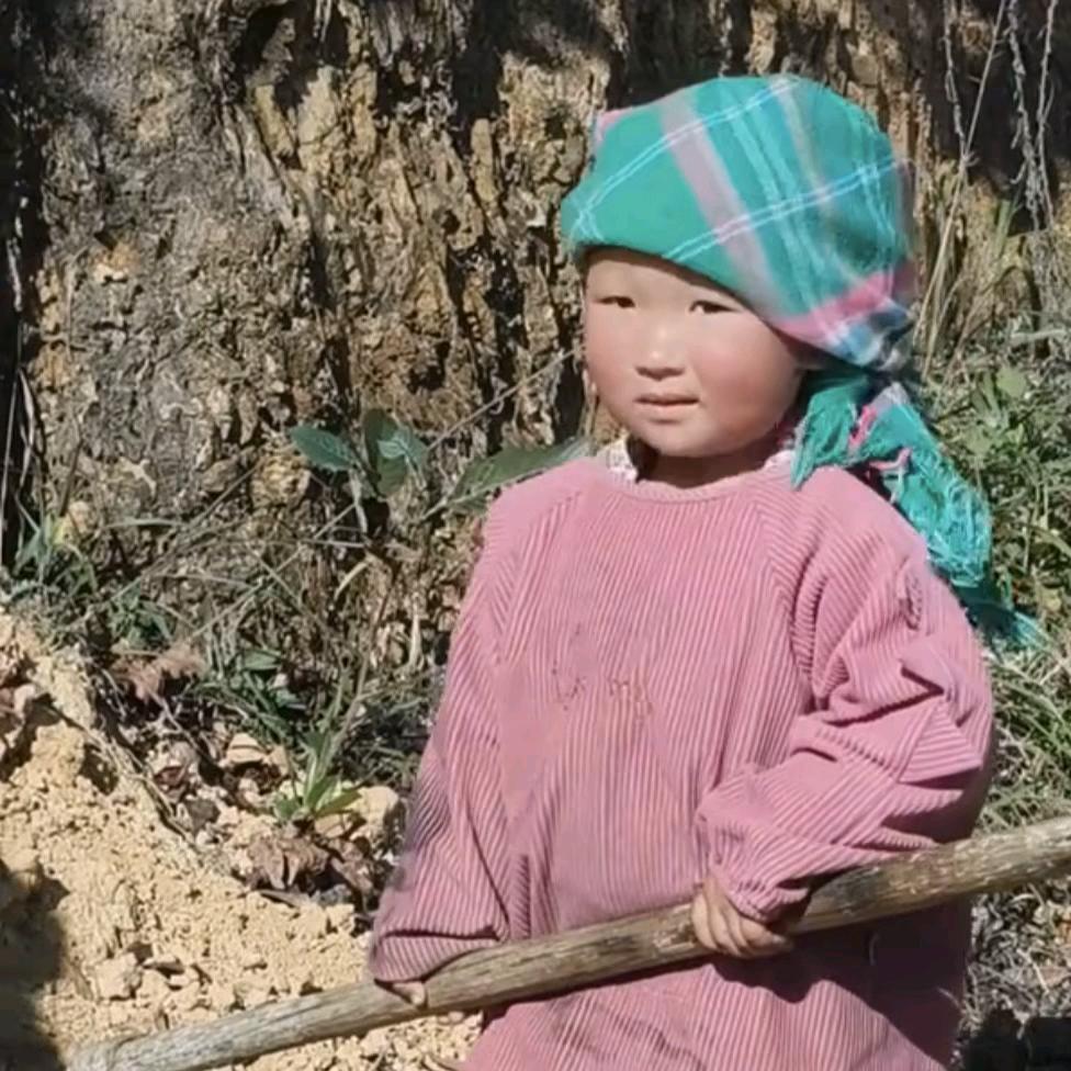 数不完的羔羊🐏