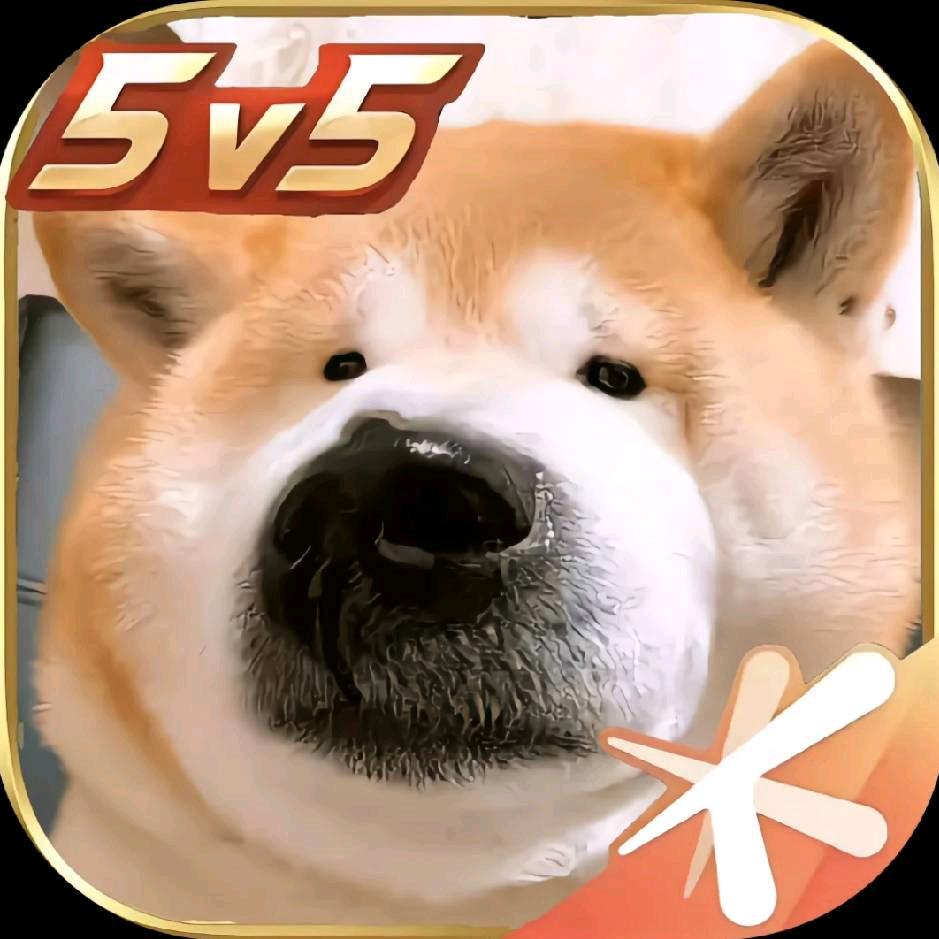 某铅