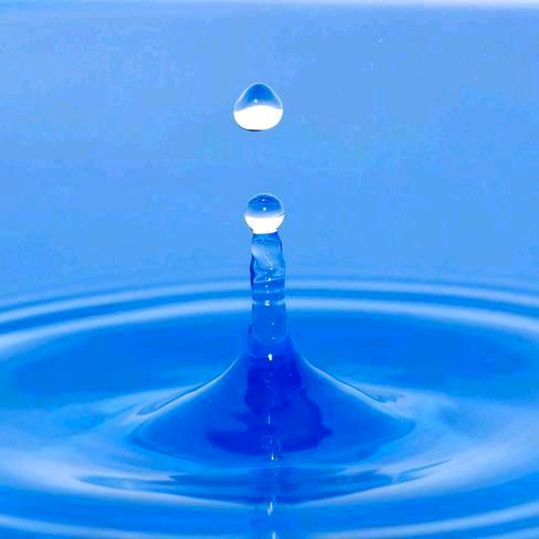 蓝雨💦