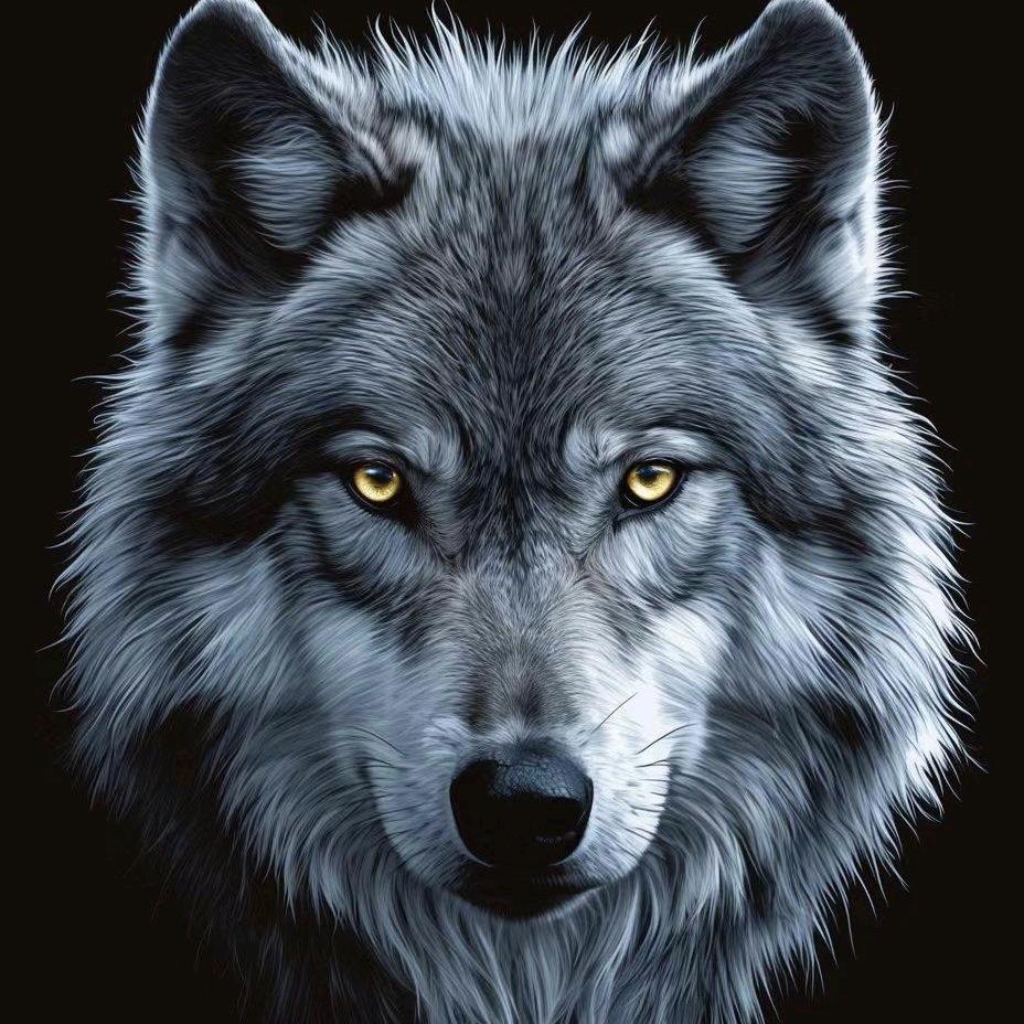 独狼🐺