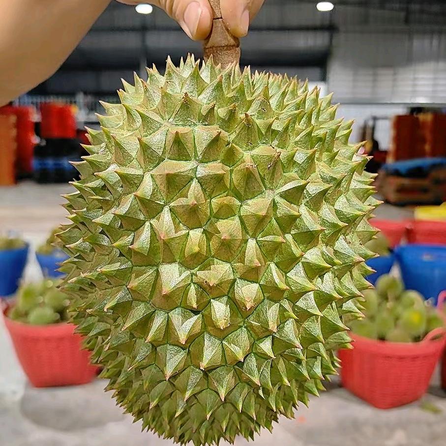 啊锦 水果榴莲代采 代卖