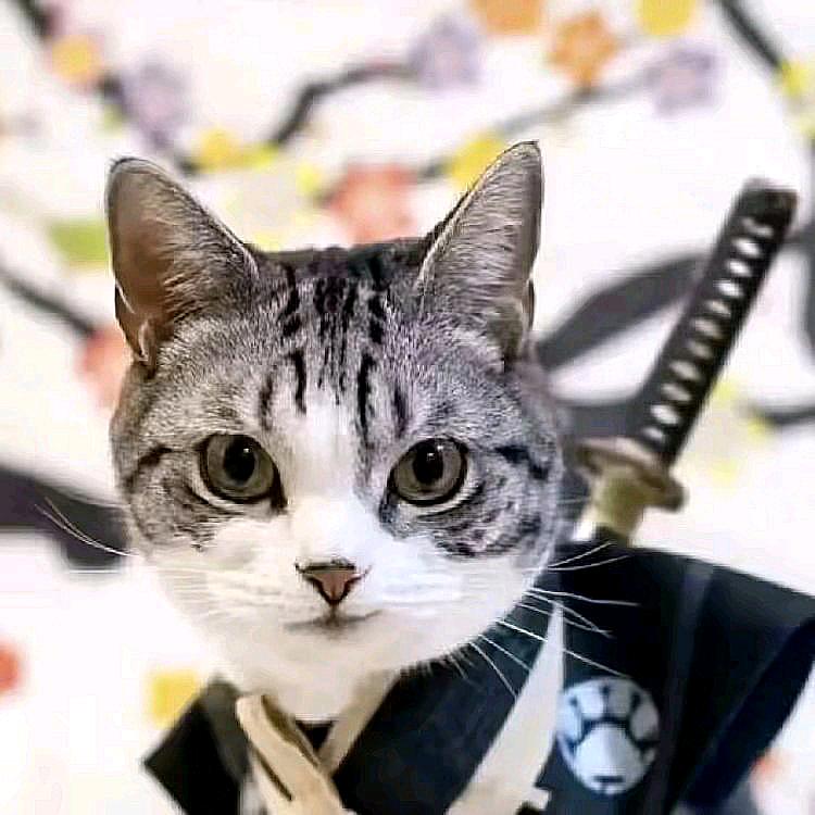 ꯭꯭老꯭꯭头꯭꯭