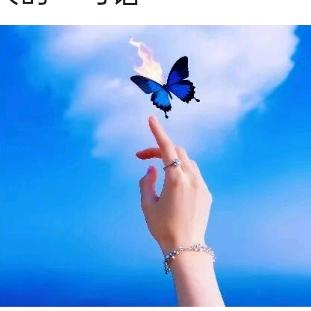 小千尾玉狐
