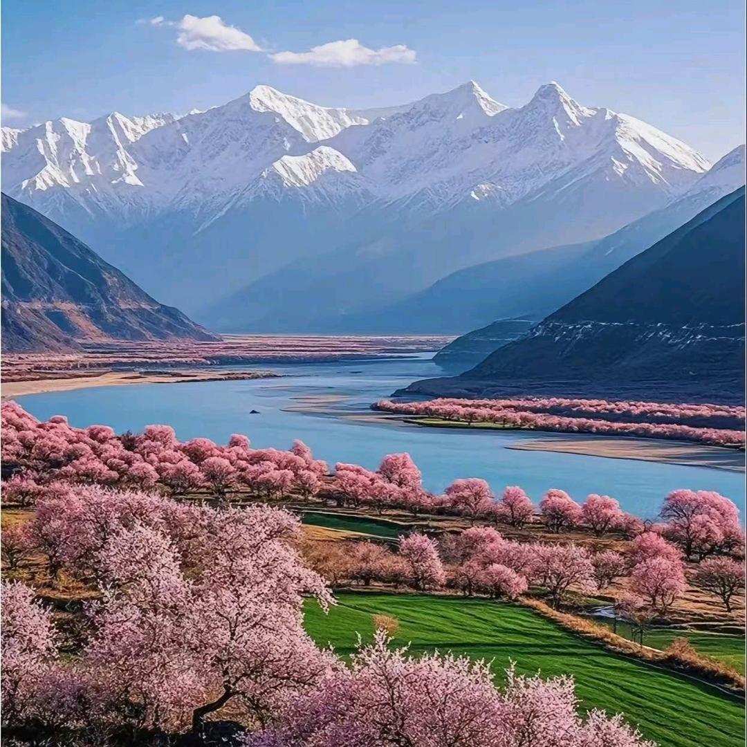 花貂旅行社6号