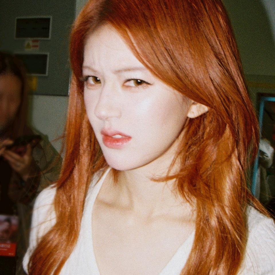 喜欢露思的小卷毛